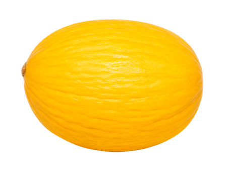 Canary Melon