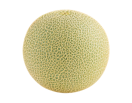 Santa Claus Melon