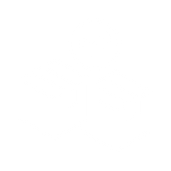 Custom Packaging Options